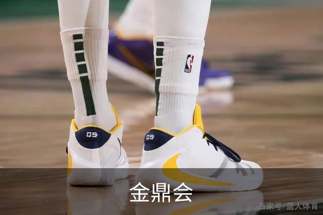 金鼎会公司简介